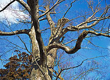 广受好评的类魂游戏《匹诺曹的谎言》上线不到一个月销量突破100万份