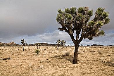 太空冒险射击游戏《和声》发行 发售预告片分享